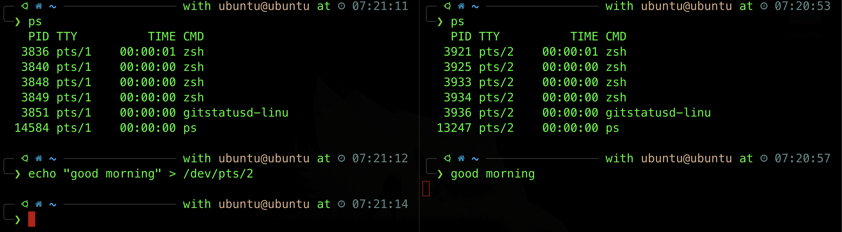 Lab 1 Command Line Interface 50.005 CSE