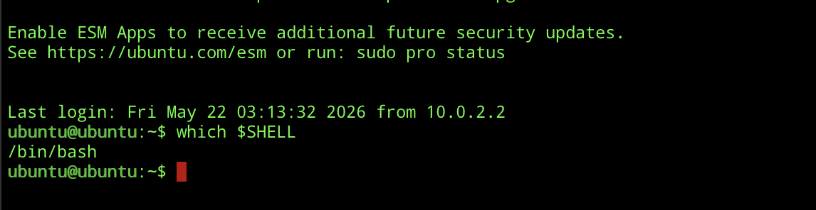 Command Line Interface | 50.005 CSE