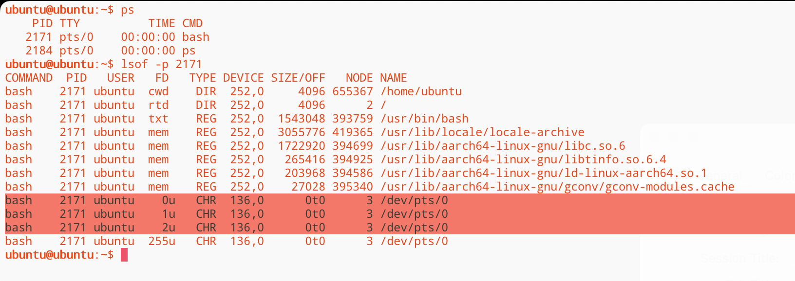 Command Line Interface | 50.005 CSE
